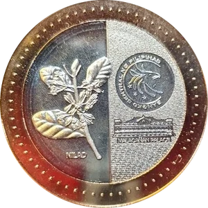 20 Piso