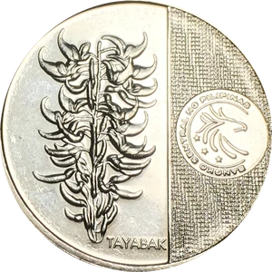 5 Piso